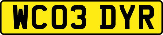 WC03DYR