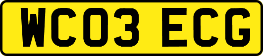 WC03ECG