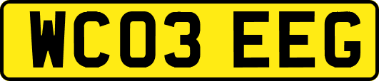 WC03EEG