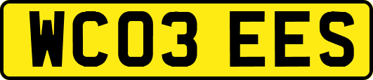 WC03EES
