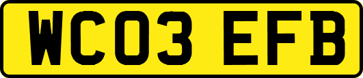 WC03EFB