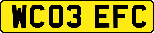 WC03EFC