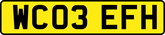 WC03EFH