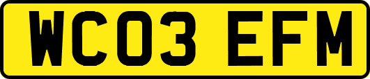 WC03EFM