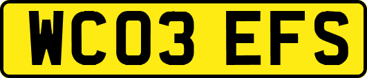 WC03EFS