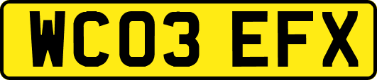 WC03EFX
