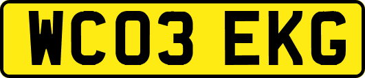 WC03EKG