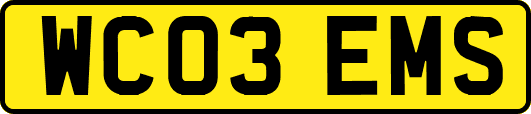 WC03EMS