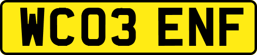 WC03ENF