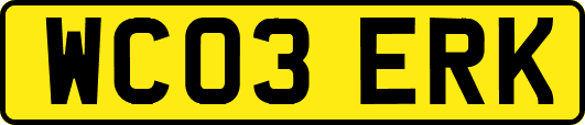 WC03ERK
