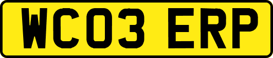 WC03ERP