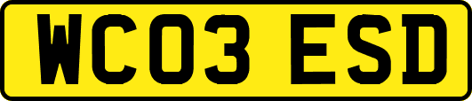 WC03ESD