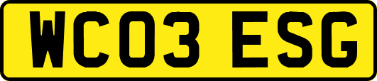 WC03ESG