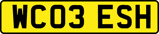 WC03ESH