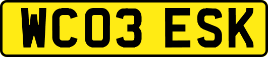 WC03ESK