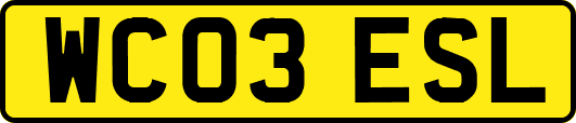 WC03ESL