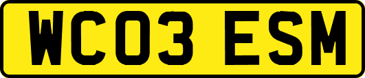 WC03ESM