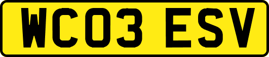 WC03ESV