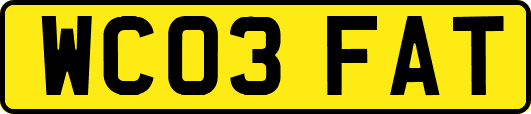 WC03FAT