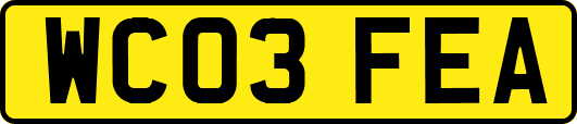 WC03FEA