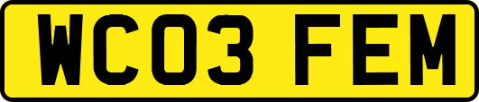 WC03FEM