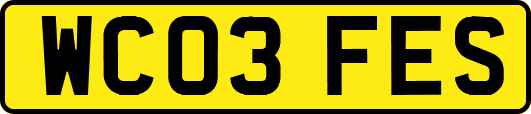WC03FES