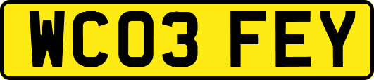 WC03FEY