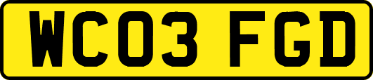 WC03FGD