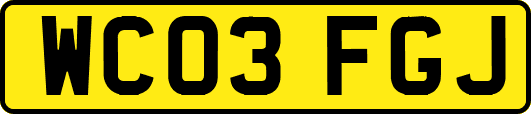 WC03FGJ