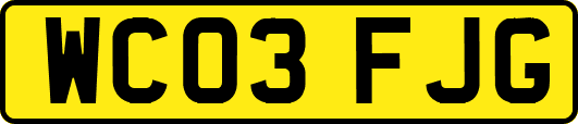 WC03FJG