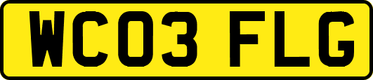 WC03FLG