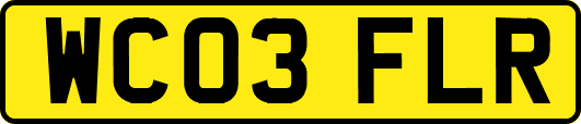 WC03FLR