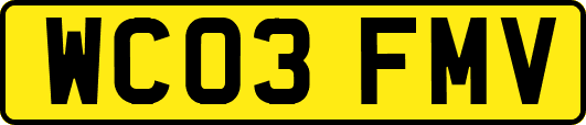 WC03FMV