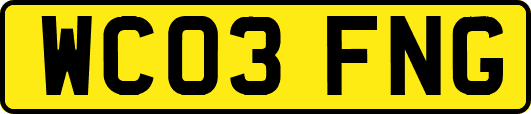 WC03FNG