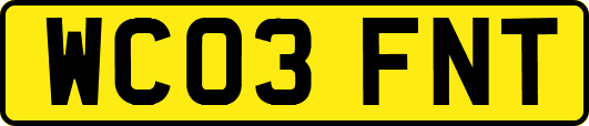 WC03FNT