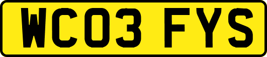 WC03FYS