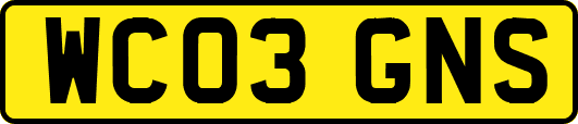 WC03GNS