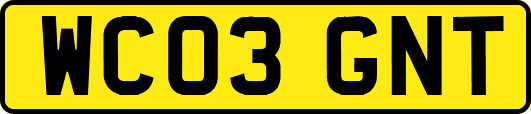 WC03GNT