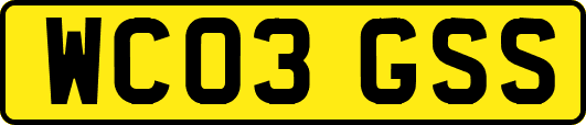 WC03GSS