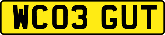 WC03GUT