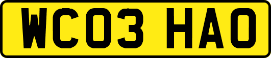 WC03HAO