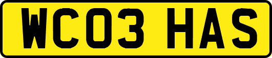WC03HAS