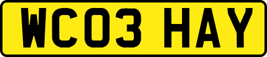 WC03HAY