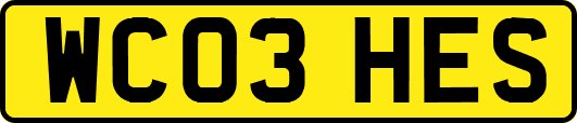 WC03HES