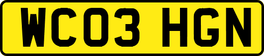 WC03HGN