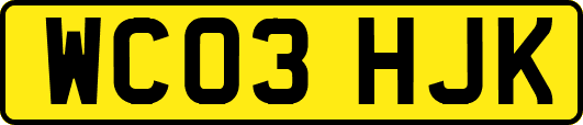 WC03HJK