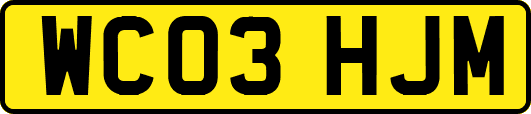 WC03HJM