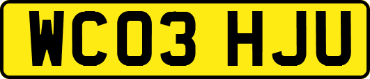 WC03HJU