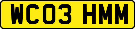 WC03HMM