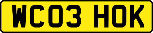 WC03HOK